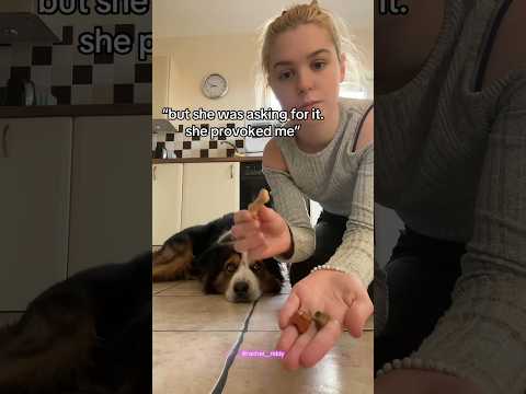 “dog is trained” missing the point