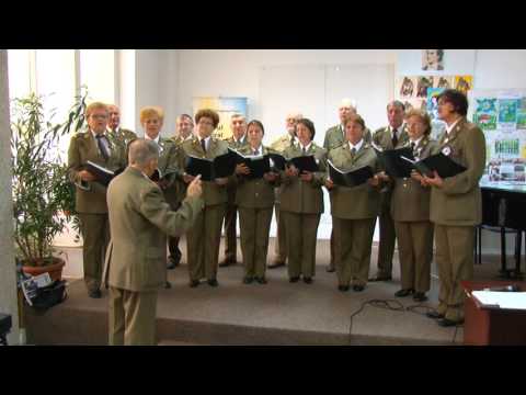 Spectacol aniversar - Corul Veteranilor Mihai Viteazul Pitesti