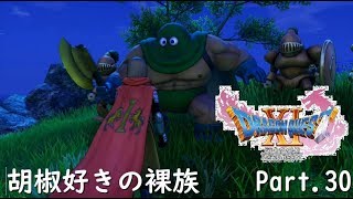 【ドラクエ11/PS4実況】胡椒好きの裸族【Part 30】