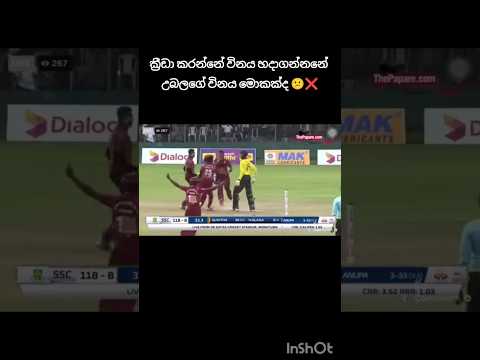 සිගිති පාතාලේ🔥🤭#trendingshorts #cricket #viral #fighting #please_subscribe_my_channel #fyp #fypシ