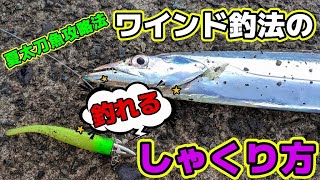 タチウオ ワインド釣法 完全解説
