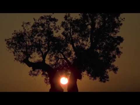 Intervista al Polaris Duo