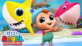 Download lagu Baby Shark duu duu | Lagu Anak - Bayi Hiu | Little Angel Bahasa Indonesia mp3