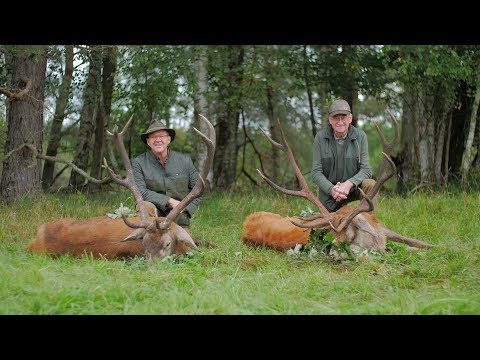 Der Moorhirsch wird erlegt!