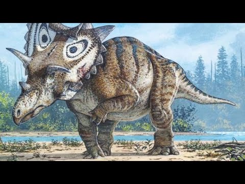 Different types of Dinosaur Sounds |  12 minutes of dinosaur sounds #RelaxationMusic
