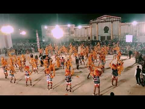 रावत नाच महोत्सव 2020 बिलासपुर छत्तीसगढ़ (निगारबंद) Rawat Nach 43rd mahotsav 2020 Bilaspur