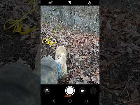 Moto E5 Cruise. Record directly to your SD card.