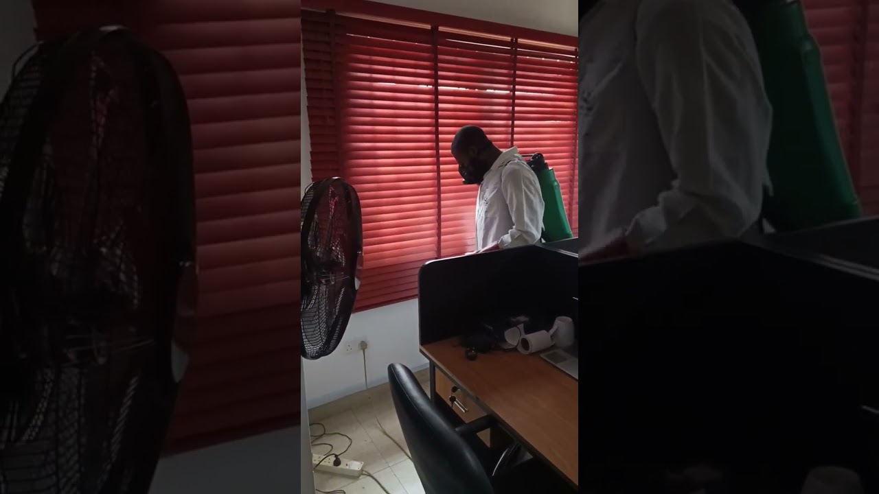 VID 19
