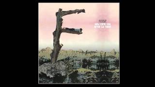 How Come You Never Go There by Feist | Interscope