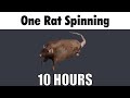[4K] One Rat Spinning to the Free Bird Solo 10 HOURS (FIXED)