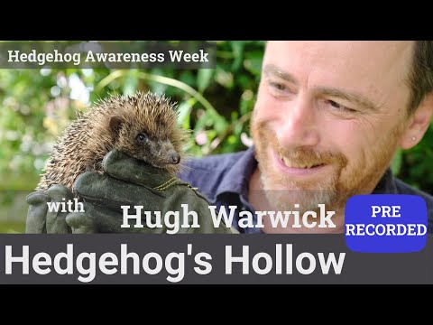 , title : 'In conversation with Hugh Warwick for Hedgehog Awareness Week | Hedgehog's Hollow'