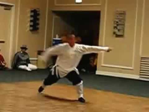 Wudang's Mysterious Fist by Master Zhou Xuan Yun of Wudang Daoist Gate Congfu in Boston
