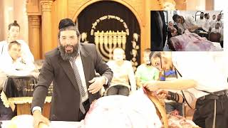 גיד הנשה והלכות חֵלֶב
