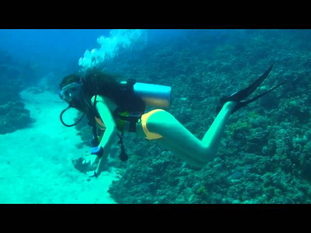 Scuba Diving - Sexy Scuba Girl