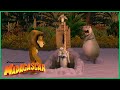 Como Escapar Da Ilha De Madagascar DreamWorks Madagascar Em Português