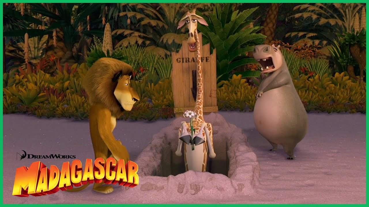Como Escapar da Ilha de Madagascar | DreamWorks Madagascar em Português