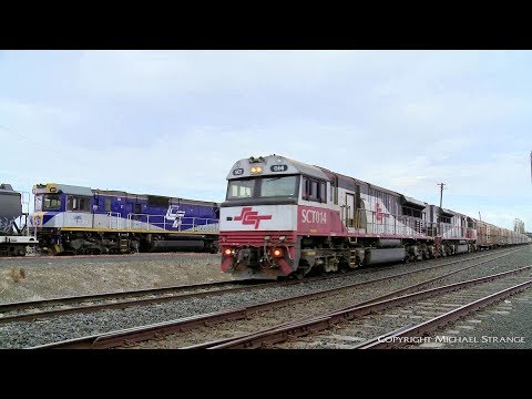 SCT 1PM9 Freight Train Crossing QUBE Grain - PoathTV Australian Railways