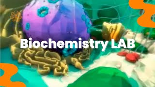 Alter Learning - Biochemistry Lab