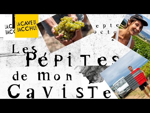 Les Pépites de mon Caviste - Interview au Domaine de la Bonne Tonne