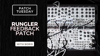 Video thumbnail for Patch Tuesday | Rungler Feedback Patch | Step 8, Generate 3 by Joranalogue Audio Design