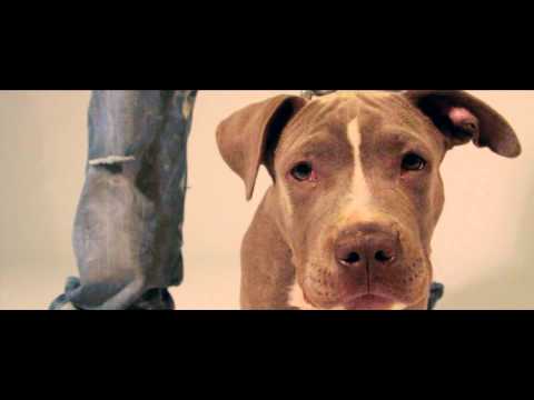 TU TEEZ & RELLY DOT FT E.B. - NO LIMITS (SNIPPET)