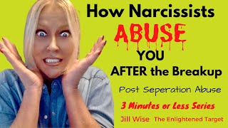 How Narcissists Abuse Their Victims  After the Breakup.  Post Separation Abuse (3 Minutes or Less).