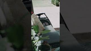 21B Wildair Court, Greenfields