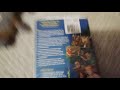 Recess School S Out 2001 VHS Review