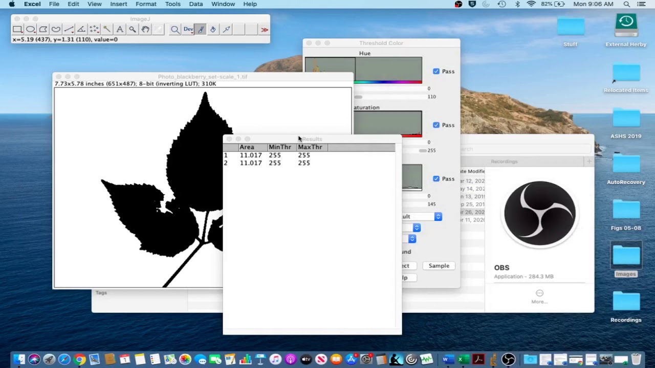 ImageJ Tutorial 1.4 - Measure Leaf Disease Area (Sampled Leaves)