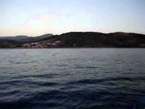 alba-progetto-video.WMV