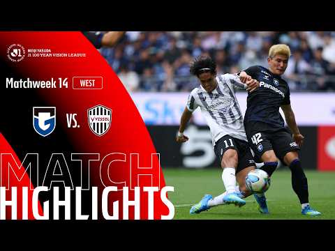 bg-highlight