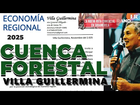 Economia Regional : Capitulo 1 "CUENCA FORESTAL VILLA GUILLERMINA"