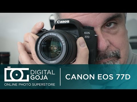 מצלמה רפלקס DSLR ‏ Canon EOS 77D / EOS 9000D קנון תמונה 4