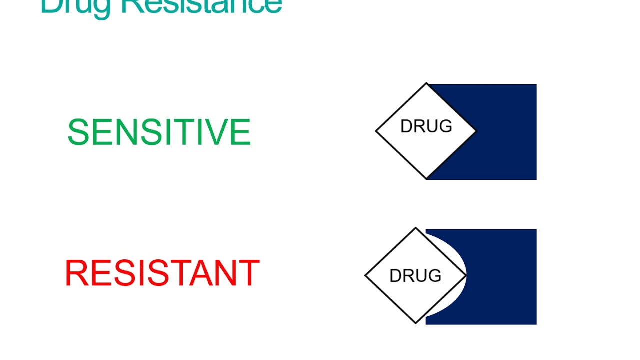 How does Whole Genome Sequencing predict drug susceptibility?
