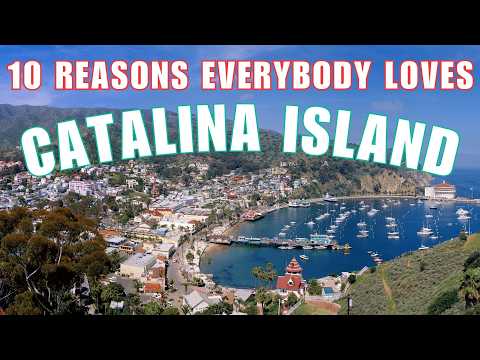 CATALINA ISLAND Travel Guide – Plan the Perfect CALIFORNIA Getaway