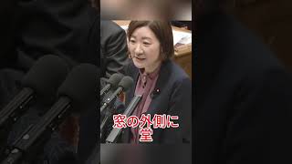 大石垣子の事務所撤退は誤報…看板変更に隠された“政治的変化”がヤバすぎた… #政治 #日本 #話題 #ニュース #時事