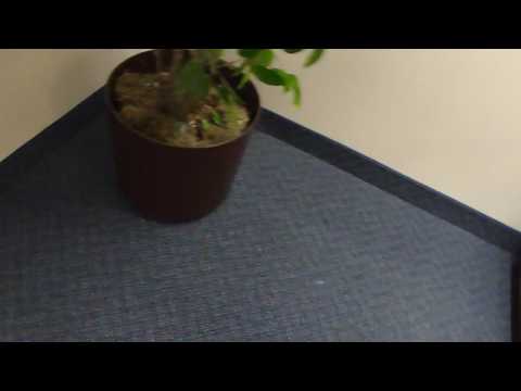 Otis Elevators at the 1919 Building