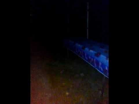 Noapte de toamna In mijlocul naturii  la Priboieni*Arges!