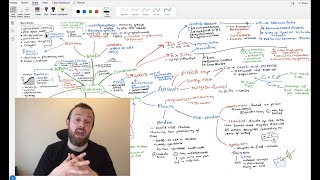Biodiversity Mindmap (OCR A Level Biology Module 4.2)