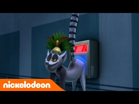 Die Pinguine aus Madagascar | King Juliens Popo | Nickelodeon Deutschland