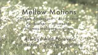 preview picture of video 'Mellow Motions: Always And Forever (Pat Metheny)'
