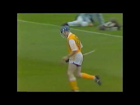 Antrim v Kilkenny 1991 All Ireland SHC Semi Final
