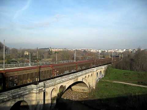 E655.233 Grigio Blu (MRS Bologna Int - Bicocca)