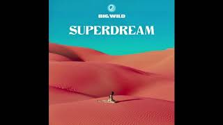 Big Wild - Pale Blue Dot