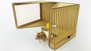 DIY Simple Rat Trap from Cardboard