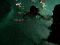 Abigail S First Swim