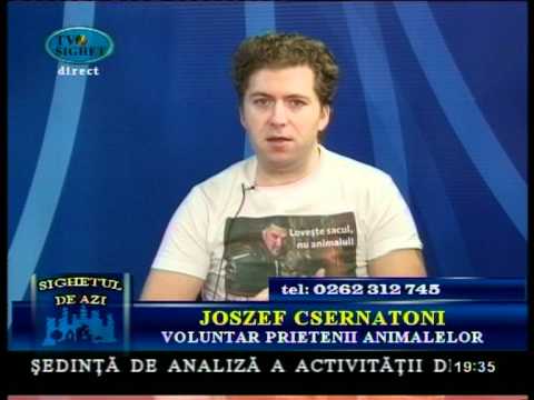 Sighetul de Azi - 12 Ianuarie 2012 - Ce facem cu câinii comunitari din Sighetu Marmaţiei?