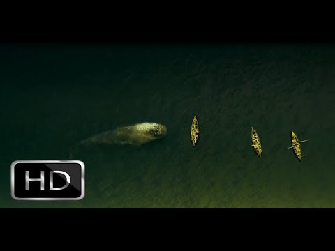 İn The Heart of the sea : The White Whale Attack on the boats HD