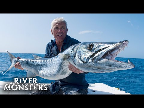 The BIGGEST FISH caught in Season 8 of River Monsters