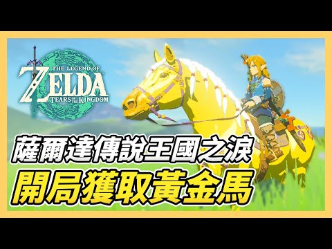 黃金馬